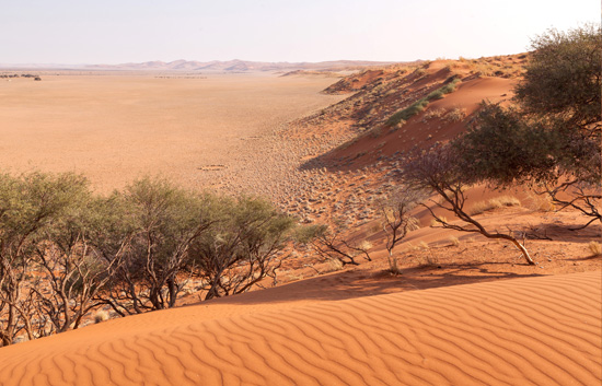 Elim Dune Walks