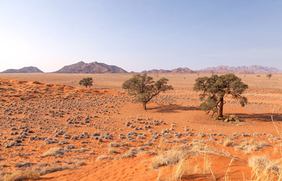 Nature Walk to Elim Dune