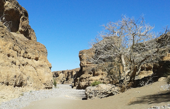 Sesriem Canyon